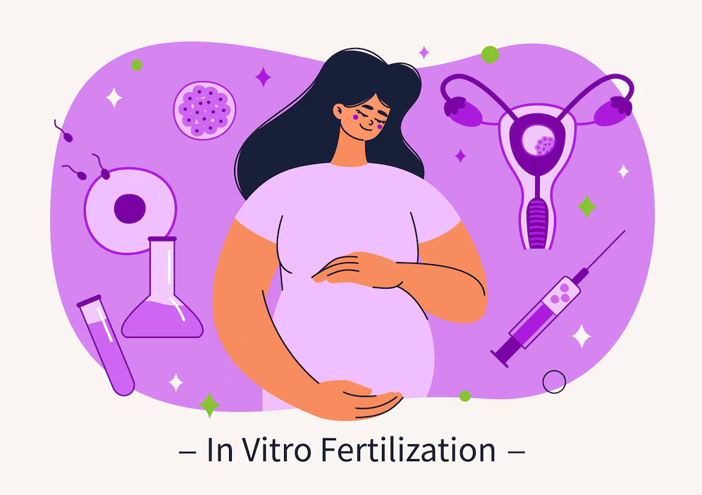 A Step-by-Step Guide to the Process In vitro fertilization IVF