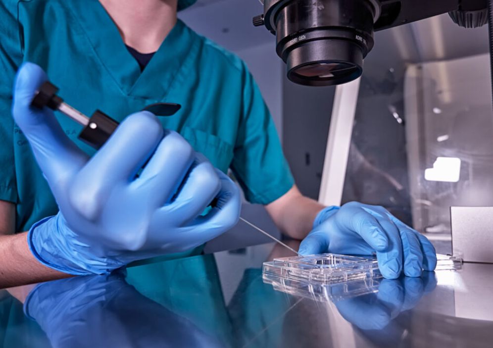 Top 10 Myths About IVF Debunked